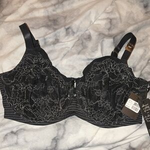 Ashley Graham 38H Bra